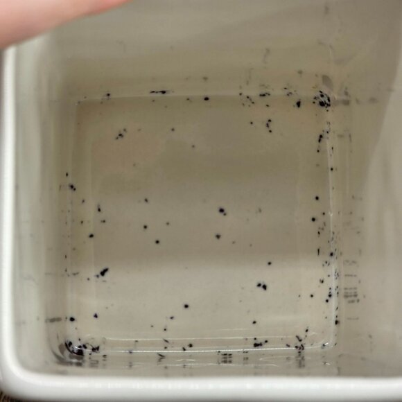 Rae Dunn WRITE LL Large Letter Cream Black Square Pen Pencil Marker Holder Desk - Picture 6 of 7